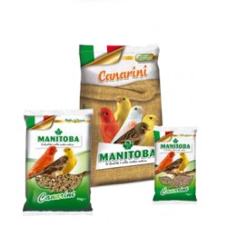 MANITOBA MANGIME SEMI MISTO  CANARINI 1KG