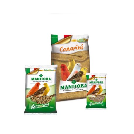 MANITOBA MANGIME SEMI MISTO  CANARINI 1KG